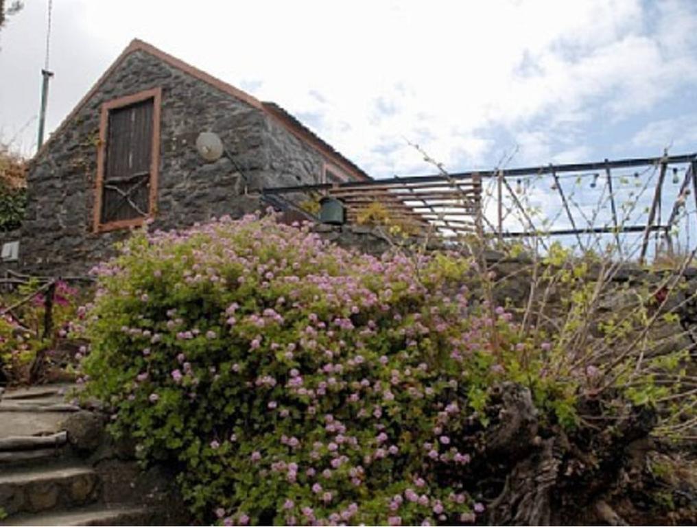 Ocean View Cottage Arco da Calheta  Exteriör bild